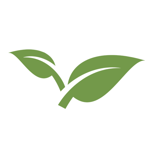 Ecochem Favicon